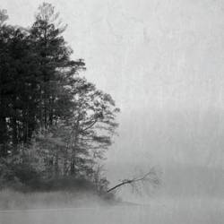 Ruined (KOR) : Play Backfires